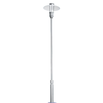 LI-8220-5429 Decorative Outdoor Pole Light